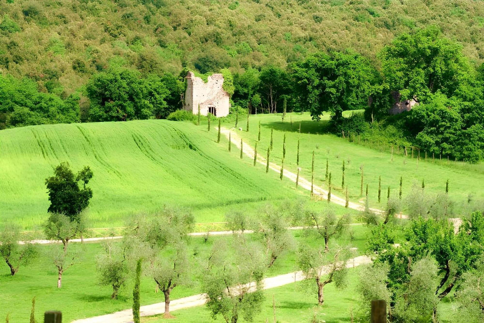 Tenuta Del Gallo Amelia Exterior foto